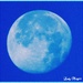 Blue Moon