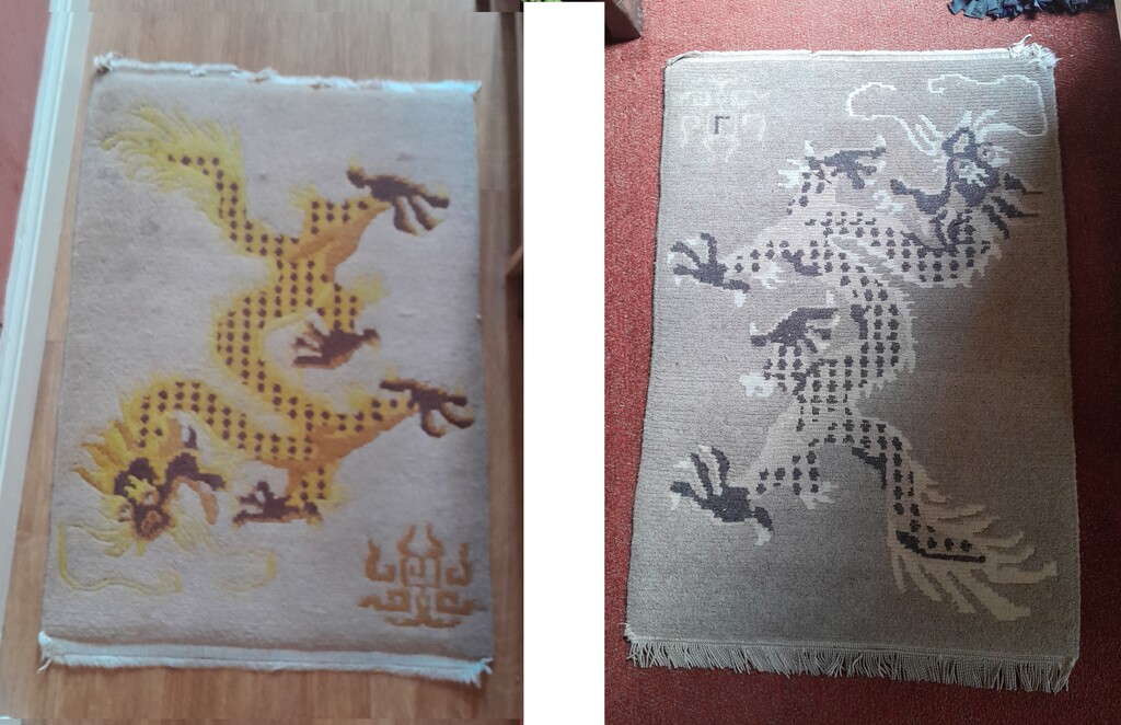 dragon rugs at a friend's by anniesue