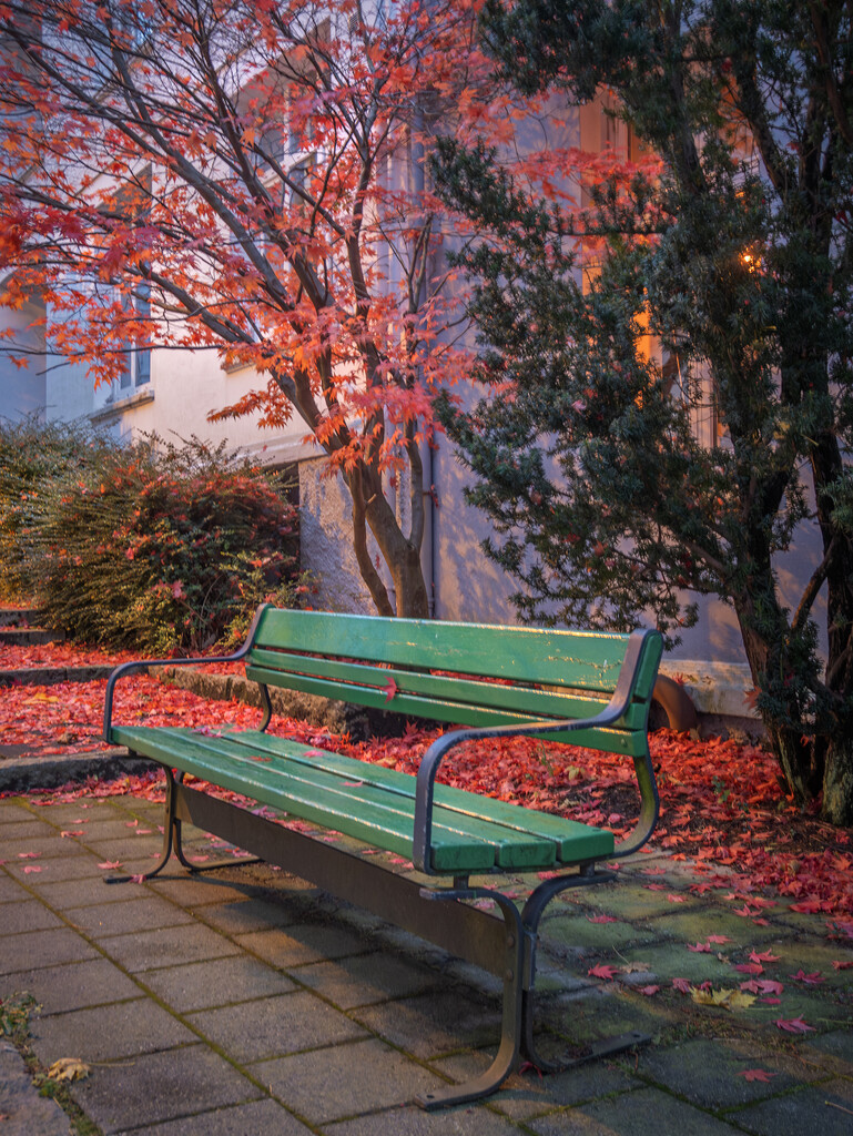 Green bench by helstor365