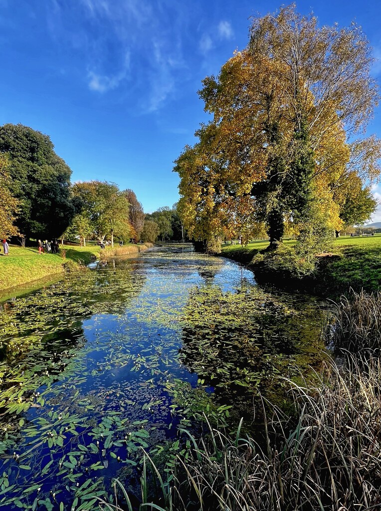 Glyndebourne on the Water (20) by rensala