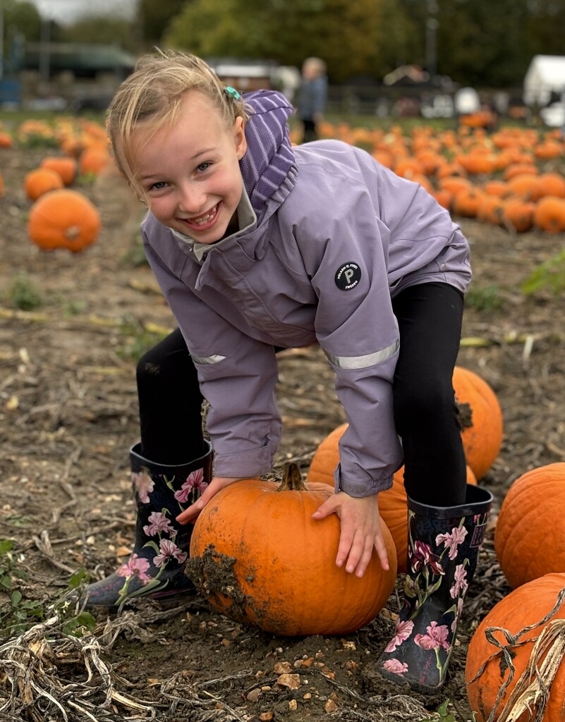 Pumpkin picking  by lizgooster