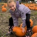 Pumpkin picking  by lizgooster