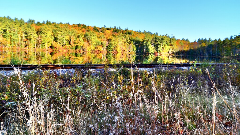 Riverside Railway by rickaubin