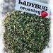 Ladybugs