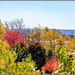 Fall Colour from our Balcony