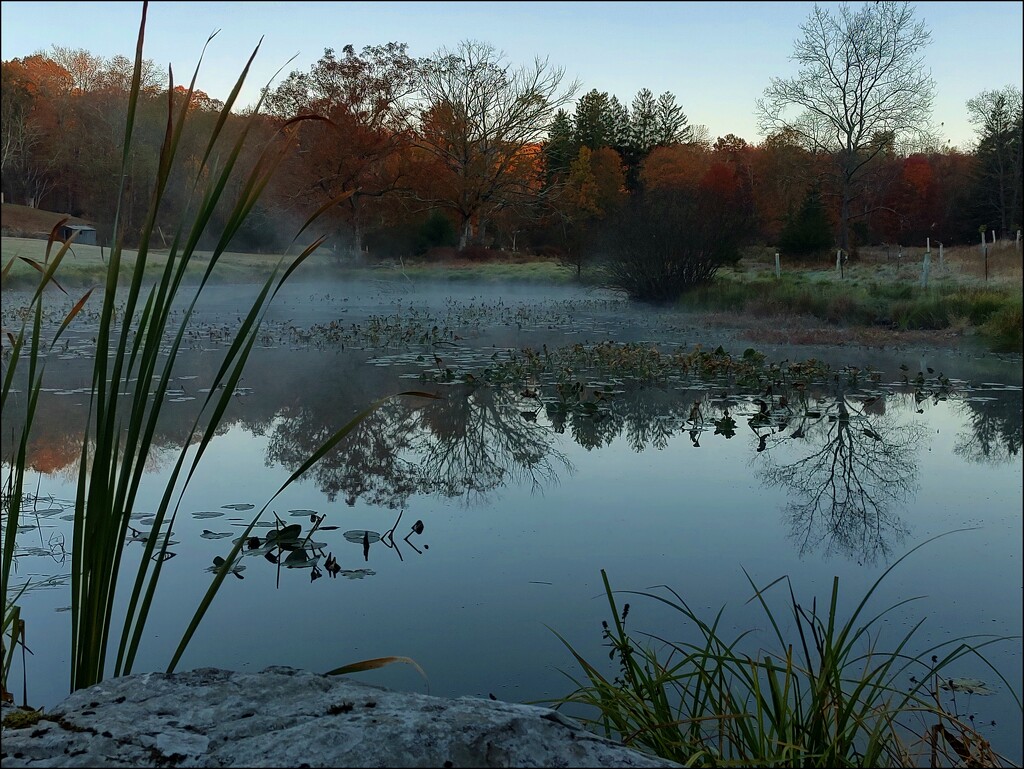 Autumn Mist by olivetreeann