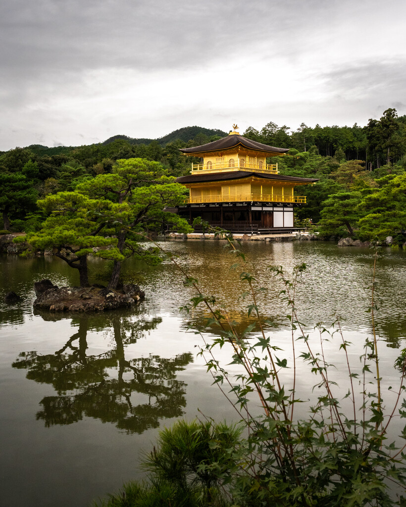 Kinkaku-ji Buddhist Temple by jackies365