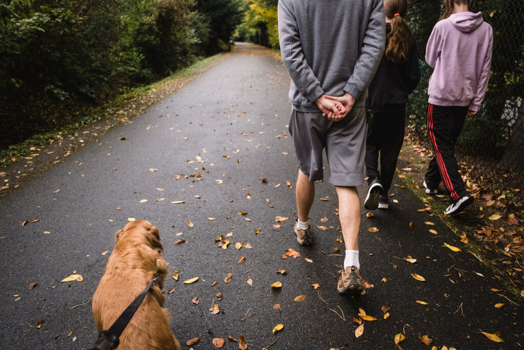 A Fall Walk by tina_mac