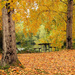 Green Lake's Fall Colors by seattlite