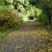 green tunnel