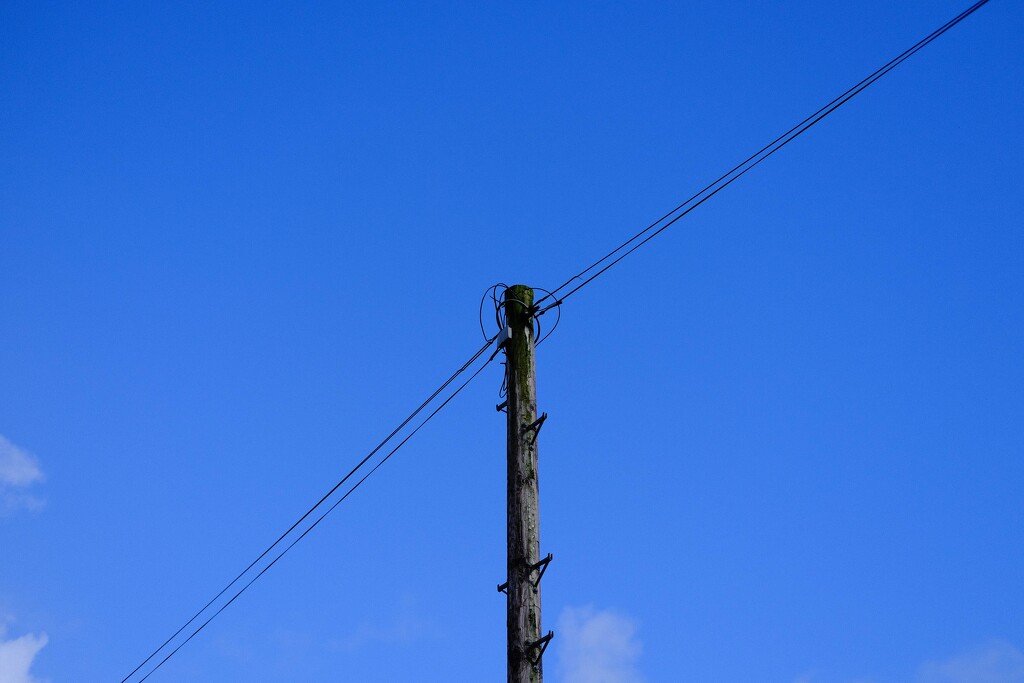 telephone pole by kametty