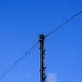 telephone pole