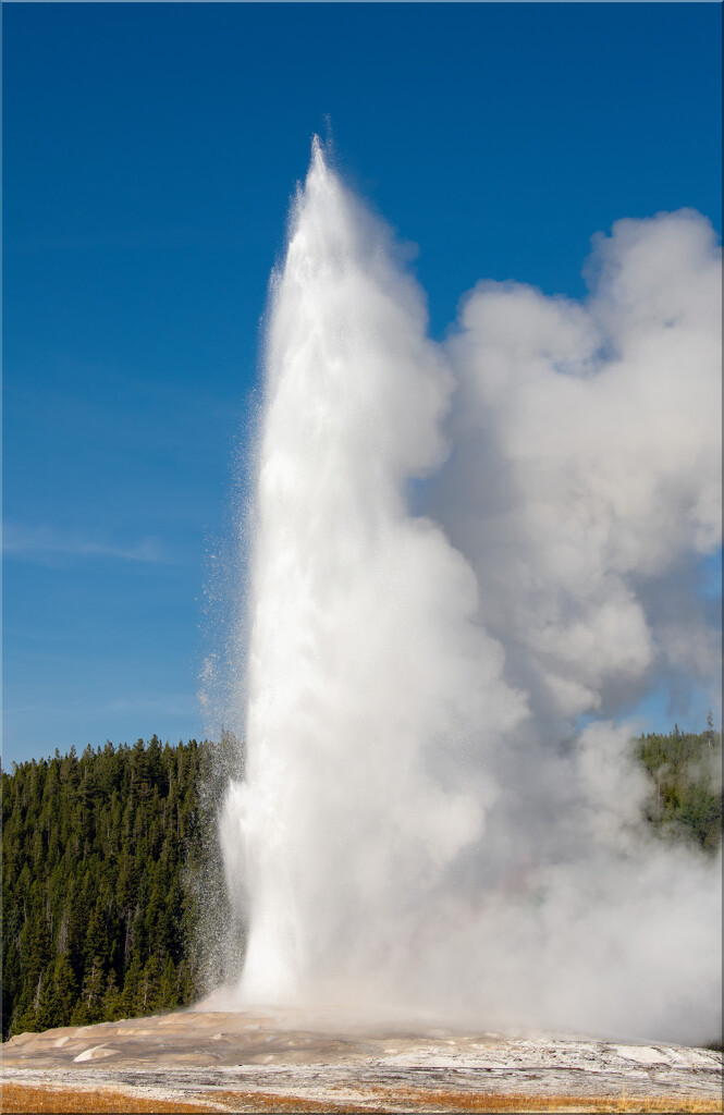 Old Faithful by 365projectorgchristine