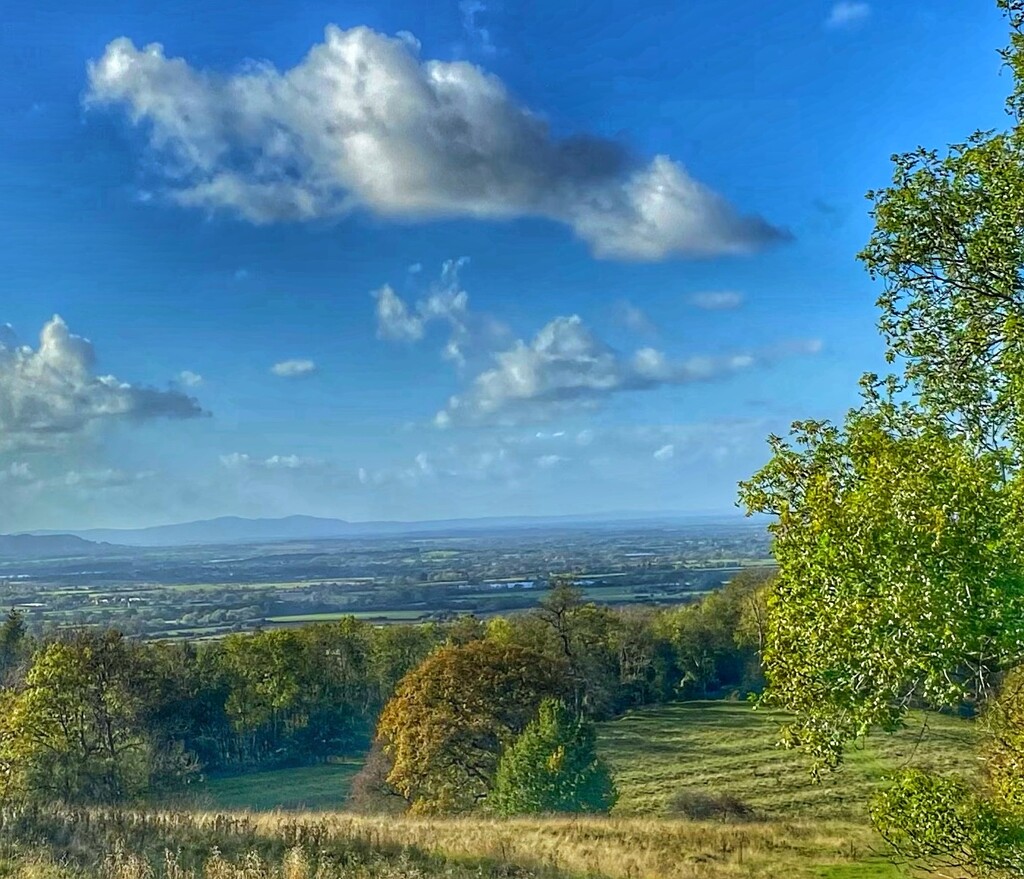 Vale of Evesham by cmf