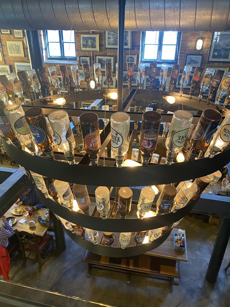 beer bottle chandelier by cam365pix