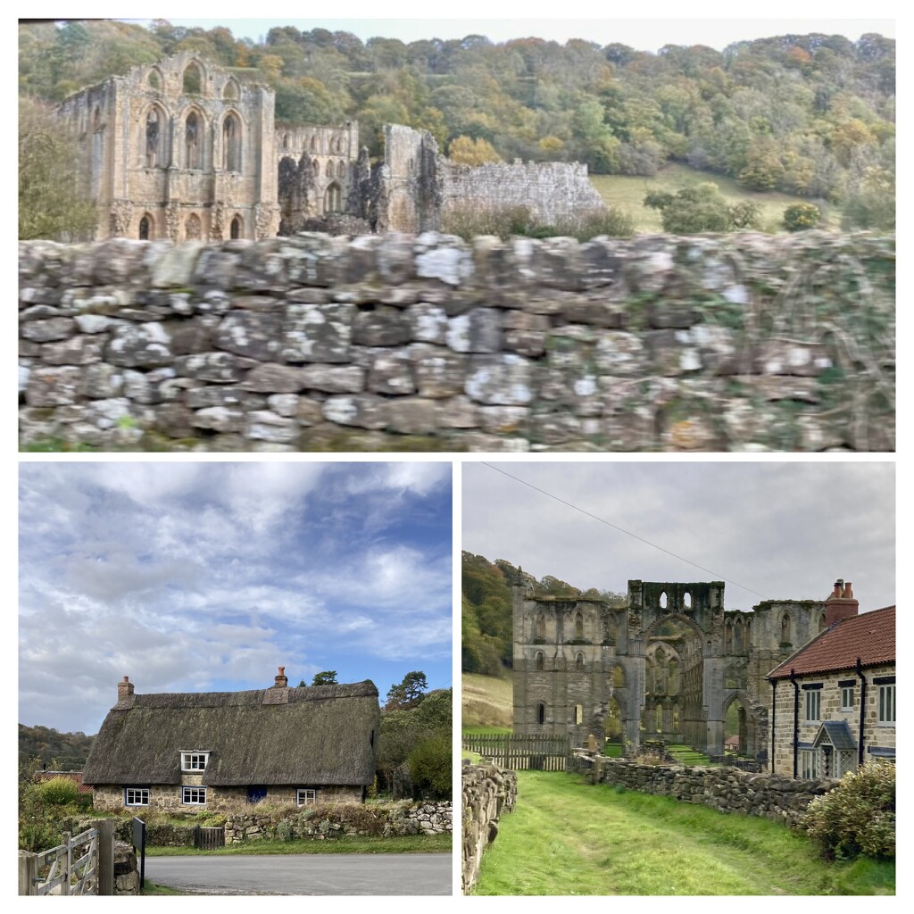 Rievaulx Abbey. by illinilass