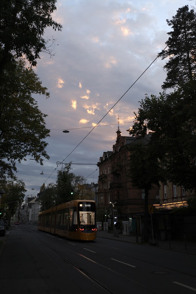 Evening Tram Under Painted Skies by vincent24