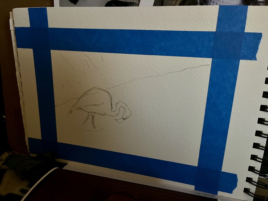 The start of my next watercolour by helenawall