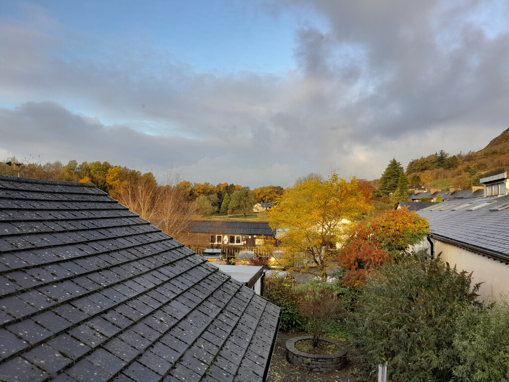 Autumn from the bathroom by anniesue