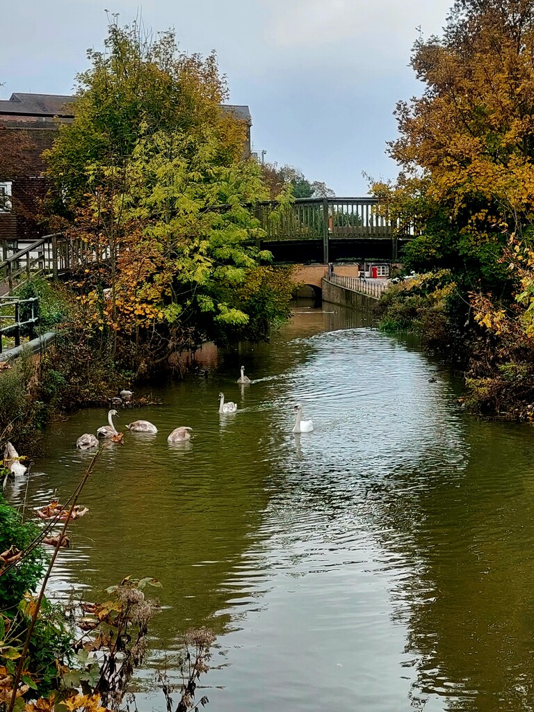 Hen Brook by busylady