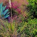 Sweetgrass and wildflowers at the beach last night