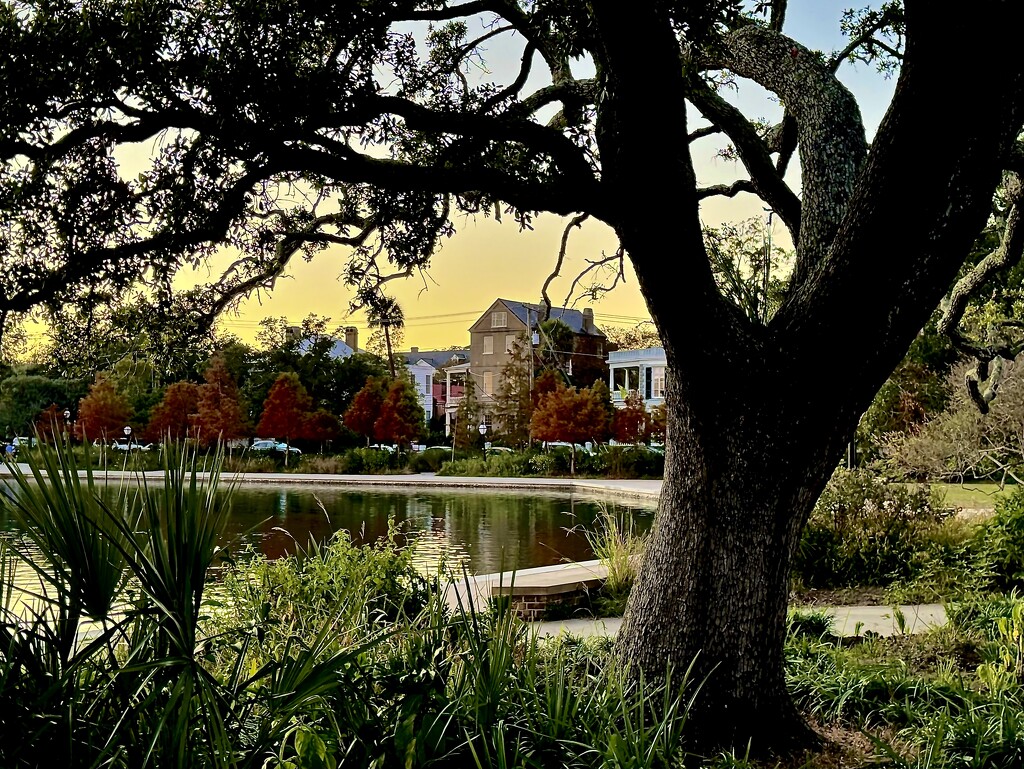 Colonial Lake Park, Charleston by congaree