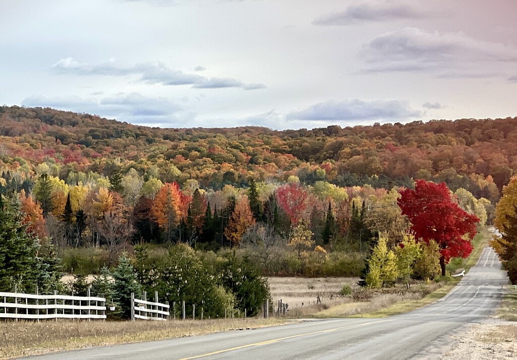 Center Township, Emmet County by amyk