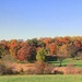 Color On The Hillside 