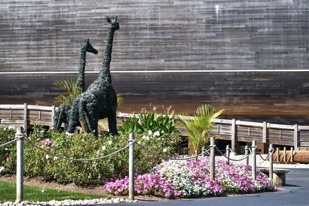 Topiary Giraffes by bjywamer