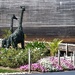 Topiary Giraffes