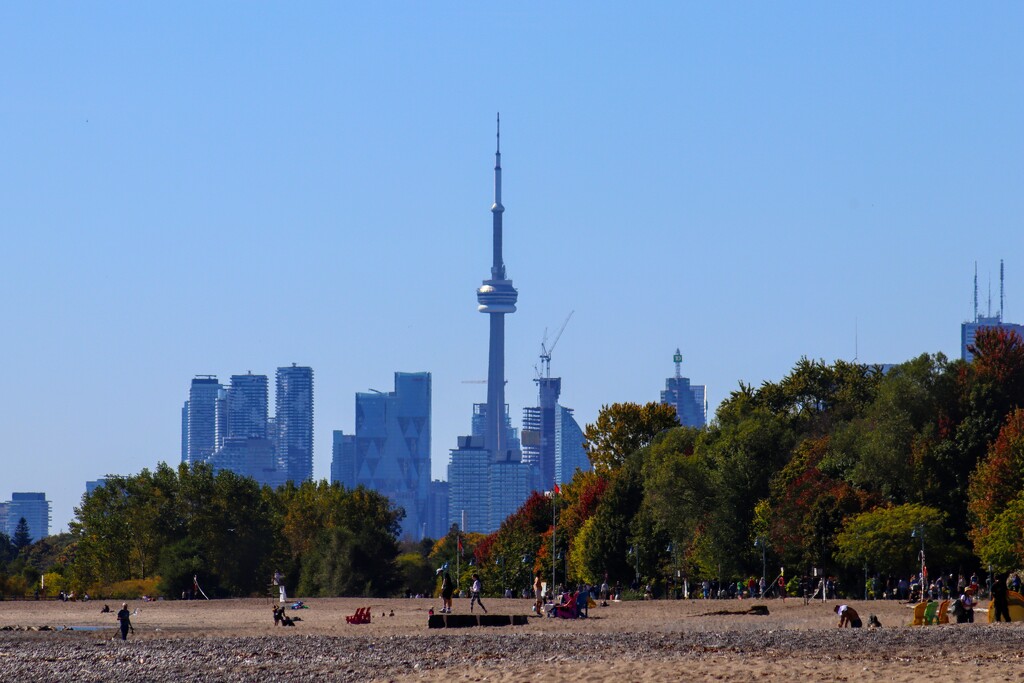 Balmy Beach View in Autumn by princessicajessica