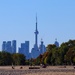 Balmy Beach View in Autumn