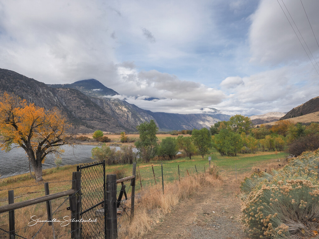 Country road by sschertenleib