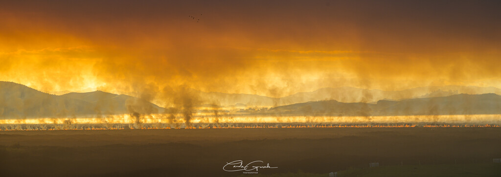 The Whangamarino Swamp is Burning! by yorkshirekiwi