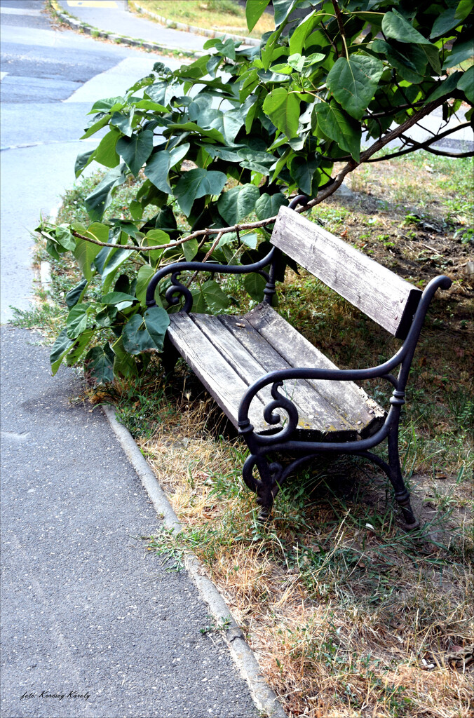 Lonely street bench in Buda by kork