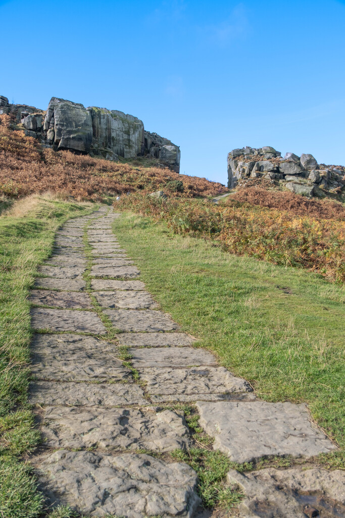 Ilkley Moor by lumpiniman