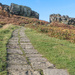 Ilkley Moor