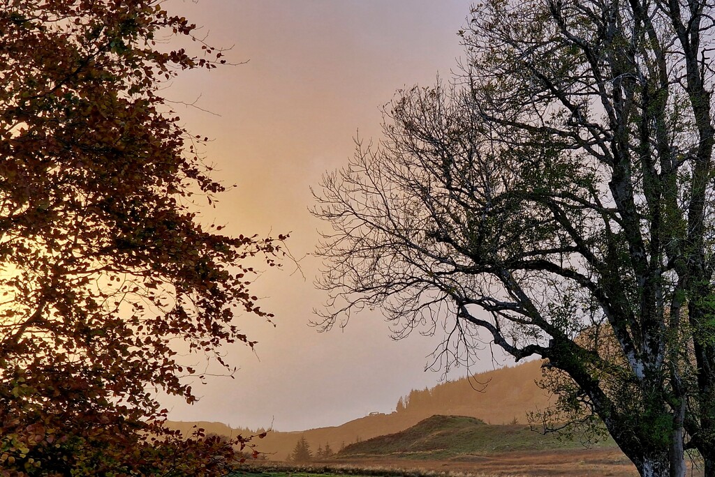 evening light by christophercox