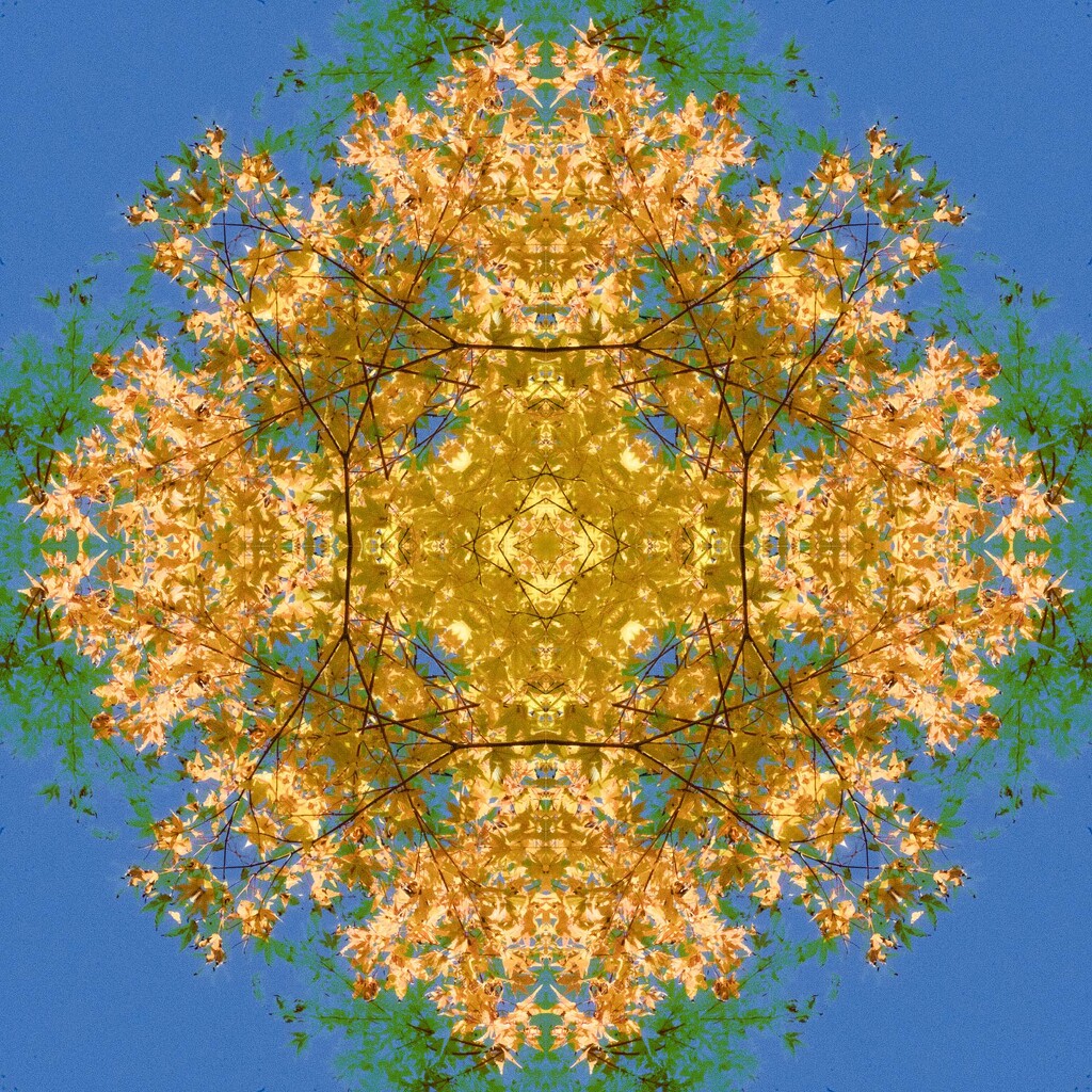 Leaves Kaleidoscope by k9photo