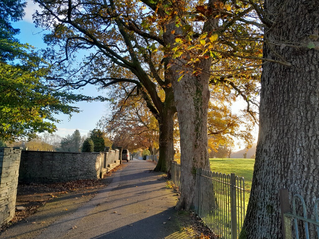 Rectory Road - going home by anniesue