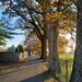 Rectory Road - going home