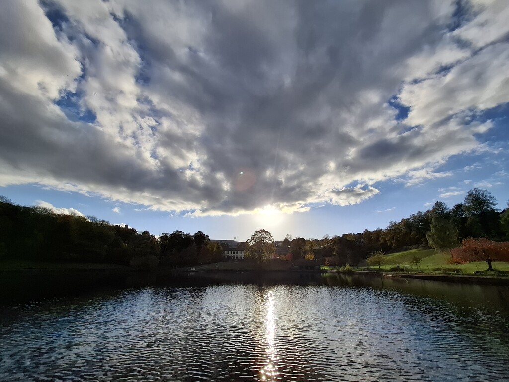 Day 296/366. Crookes Valley Park. by fairynormal