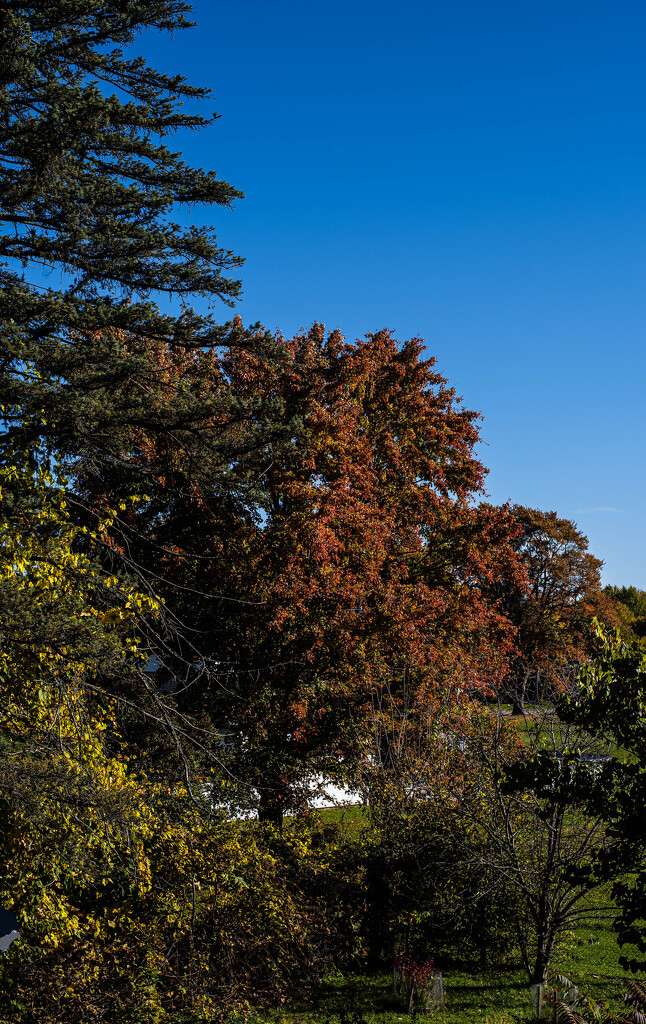 Rooftop view-2 by darchibald