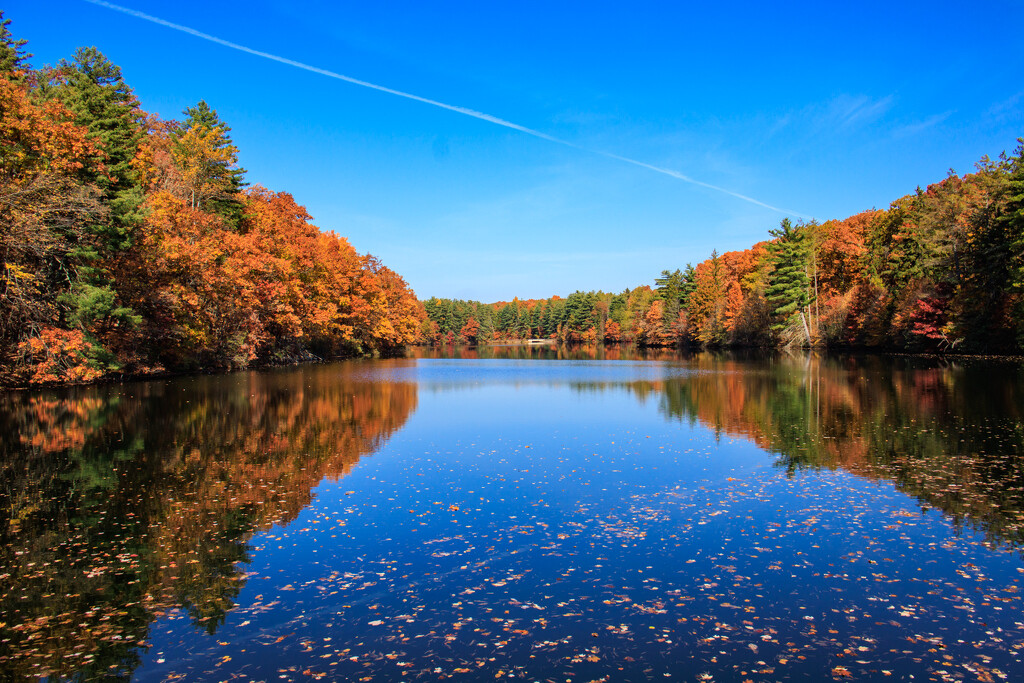 Peak fall colors by batfish