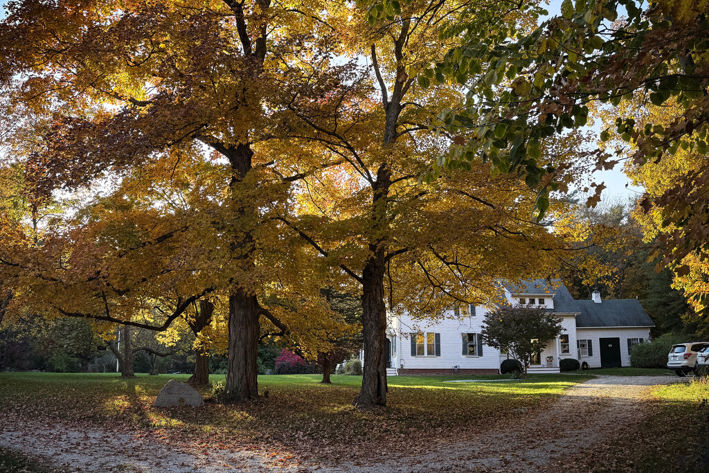 Autumn at Dogcorner Cottage by berelaxed