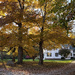 Autumn at Dogcorner Cottage