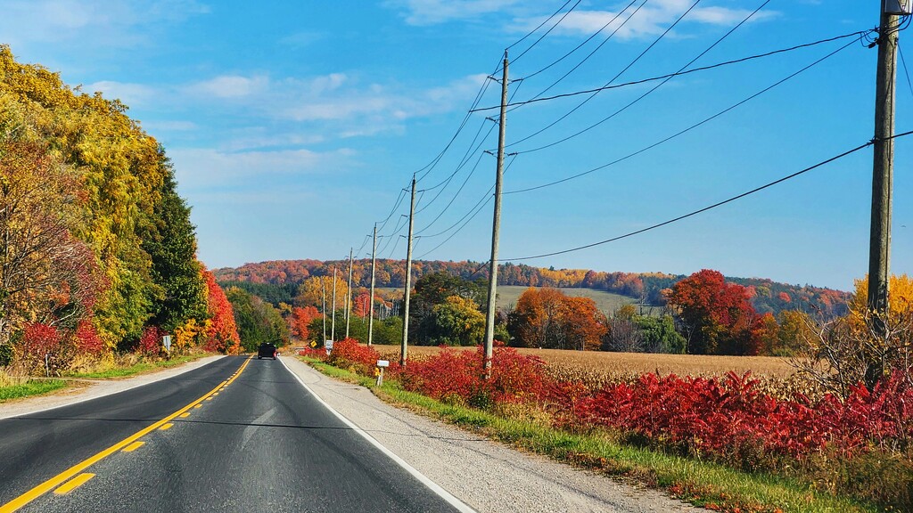 A beautiful day for a drive by ljmanning