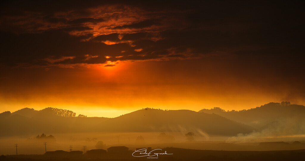 Fire at Whangamarino by yorkshirekiwi