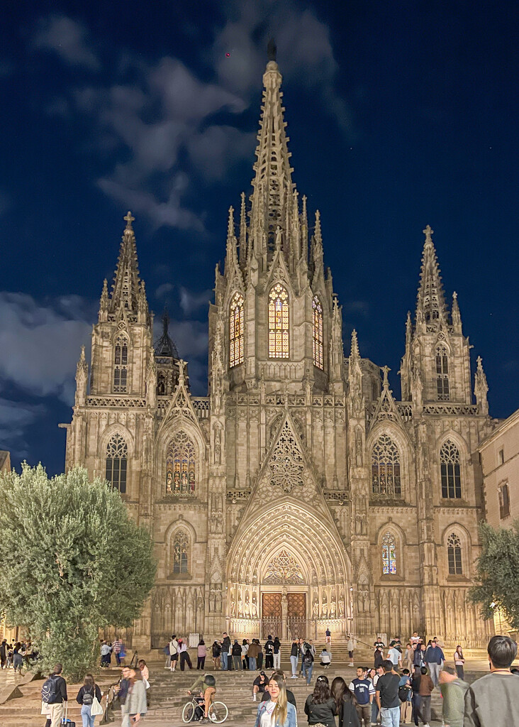 Barcelona Cathedral  by christinav