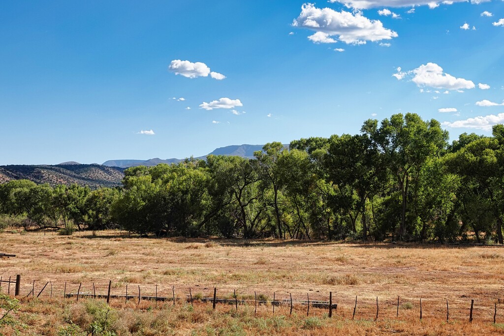 1017 Perkinsville Ranch by sandlily